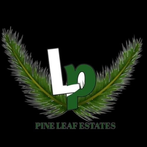 Pineleaf estate company Ltd. - Real Estate Professional in Onitsha, Anambra, Nigeria